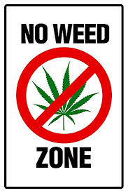 no legal weed